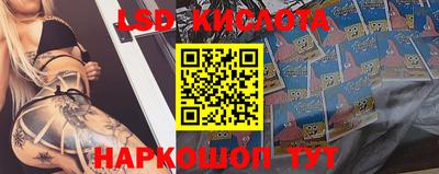 прущие крисы Краснодар