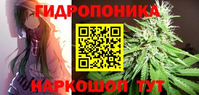 прущие крисы Краснодар