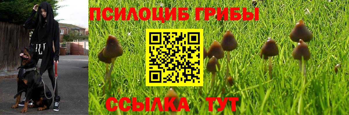 Камень-на-Оби  Псилоцибиновые грибы Psilocybine cubensis  Галлюциногенные грибы ЛСД  Вход с VPN 