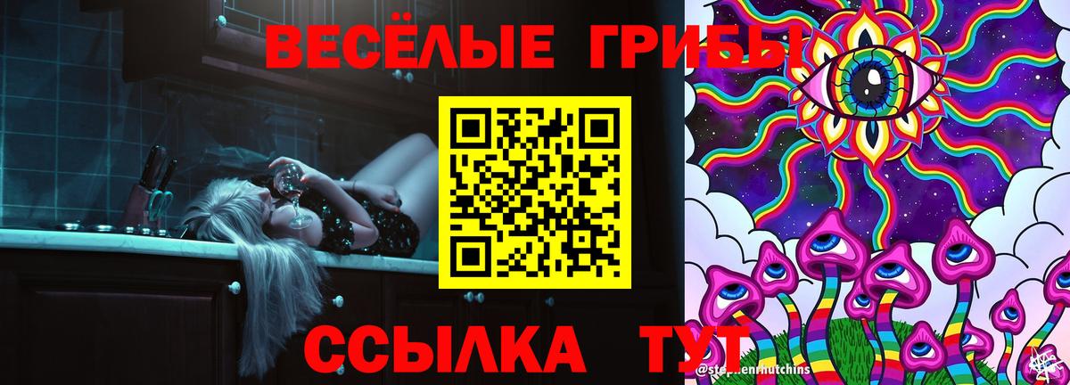 Галлюциногенные грибы прущие грибы Камень-на-Оби